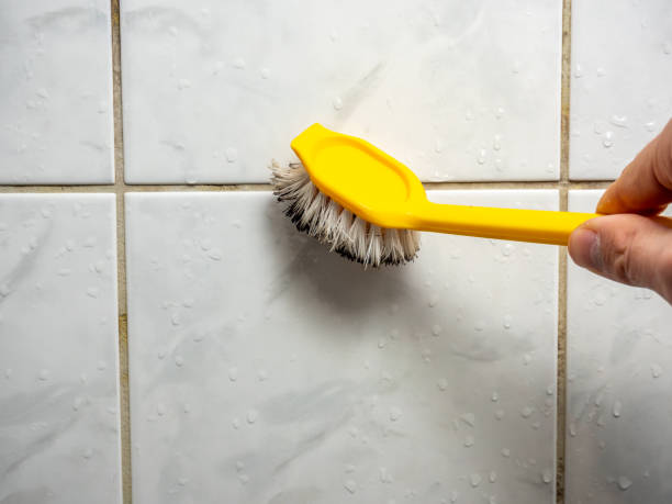 Best Kitchen Mold Remediation in St Helen, MI