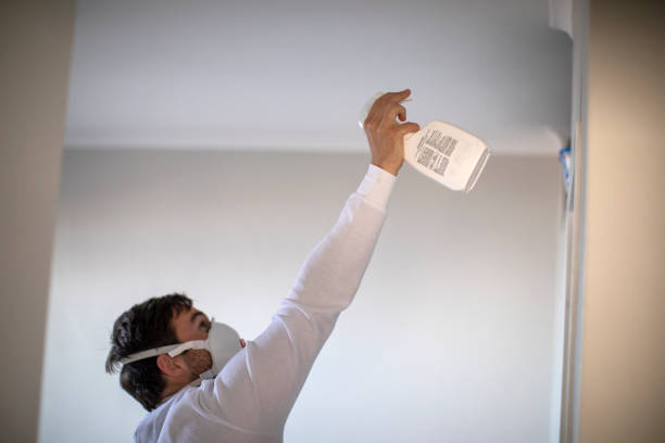 Best DIY Mold Remediation Support Services in St Helen, MI
