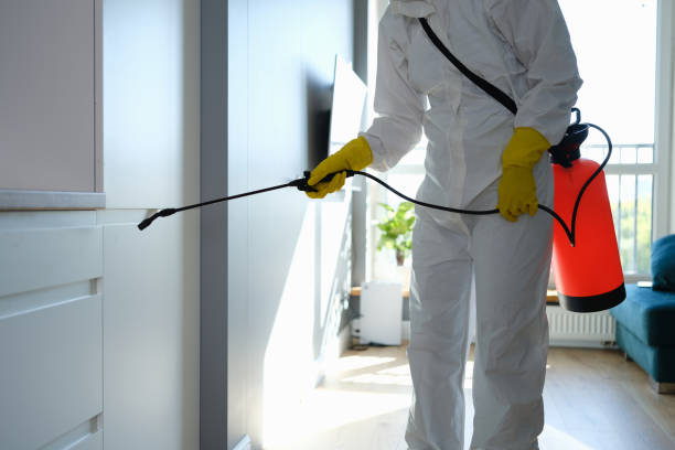 Best DIY Mold Remediation Support Services in St Helen, MI