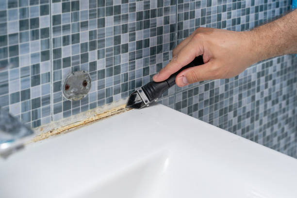 Best Residential Mold Remediation in St Helen, MI